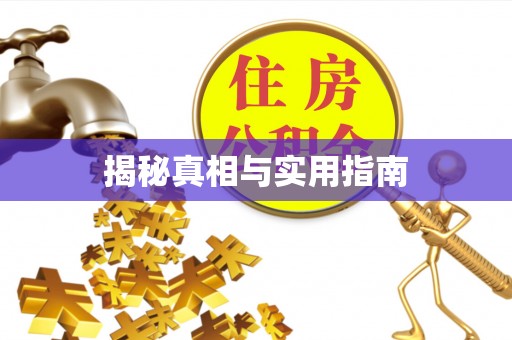 富裕揭秘真相与实用指南