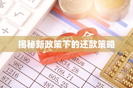 富裕揭秘新政策下的还款策略