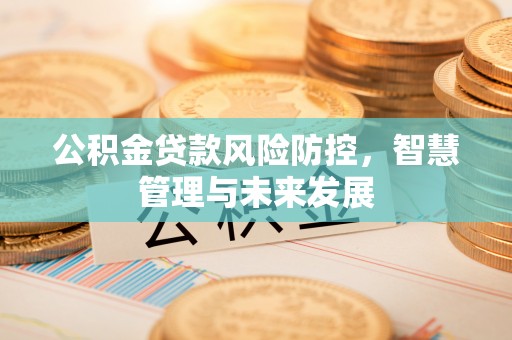 富裕公积金贷款风险防控，智慧管理与未来发展
