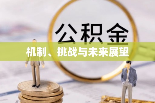 富裕机制、挑战与未来展望